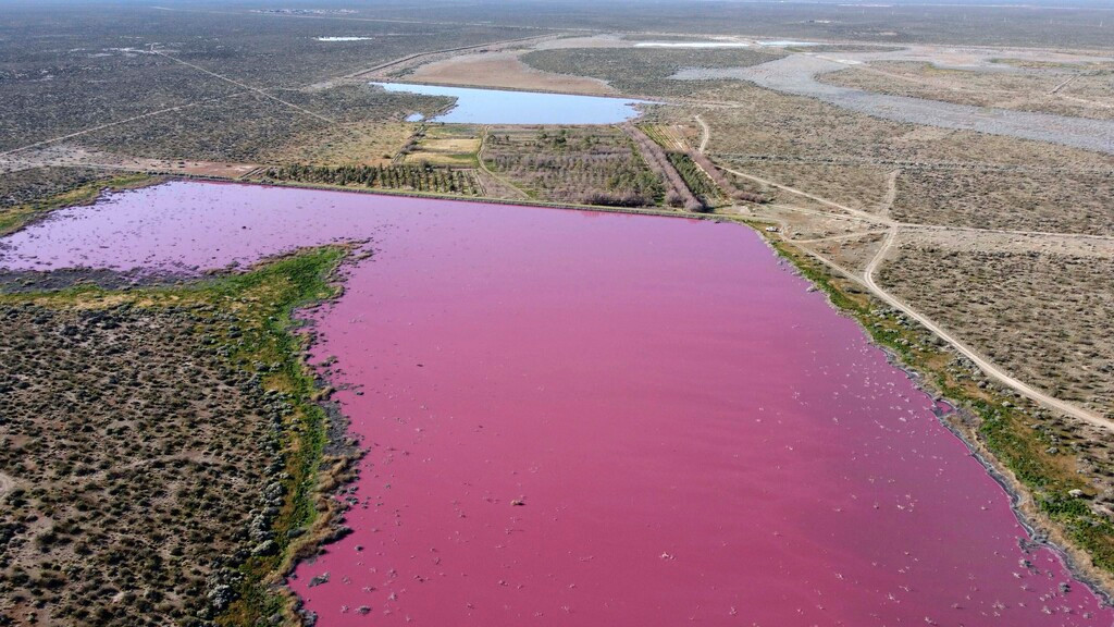 Los ambientalistas están alarmados de que dos lagos en Argentina se hayan vuelto rosados ​​- Press Enterprise