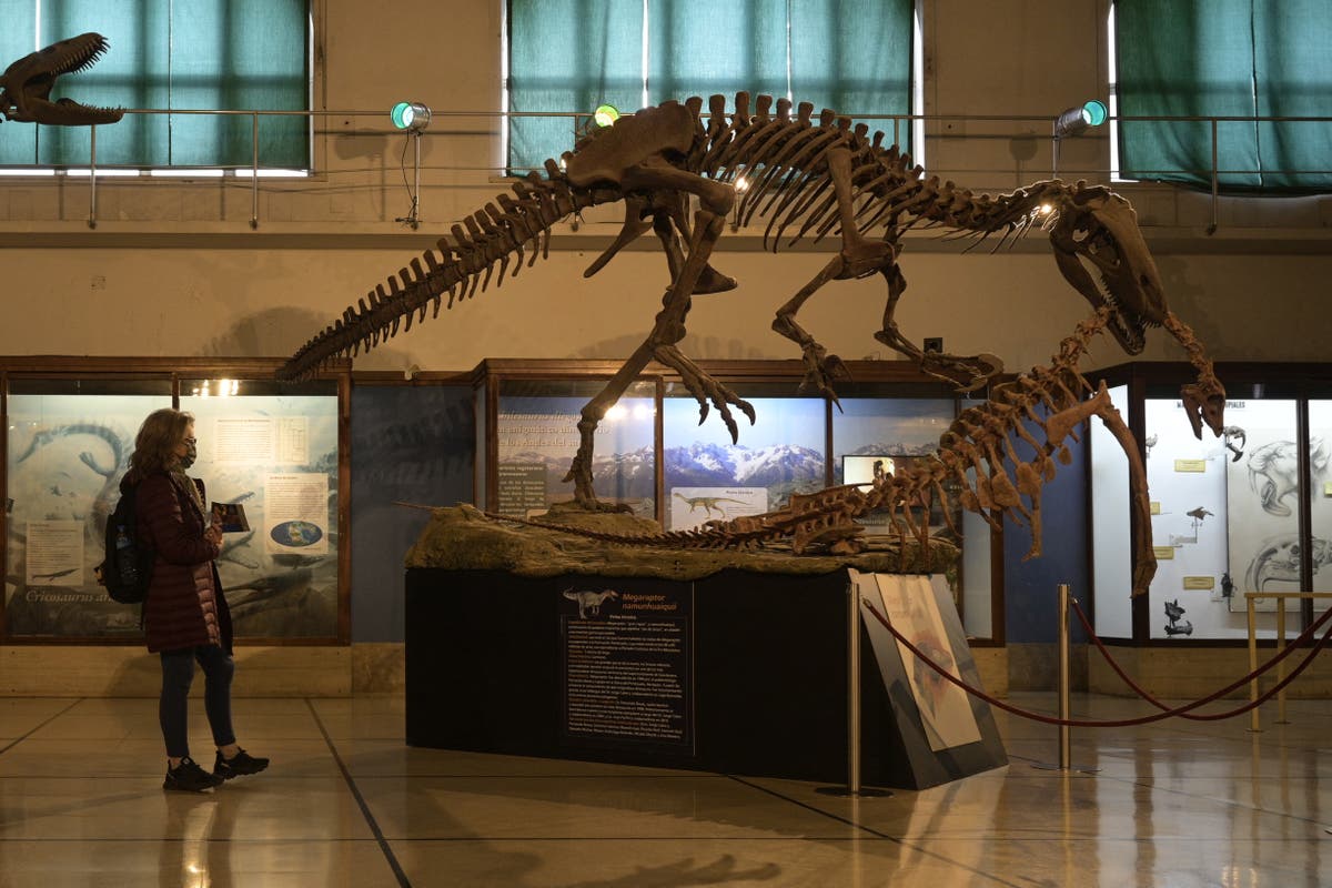 Maip macrotórax: dinosaurio gigante de 'sombra de muerte' de 32 pies de largo descubierto por científicos en Argentina