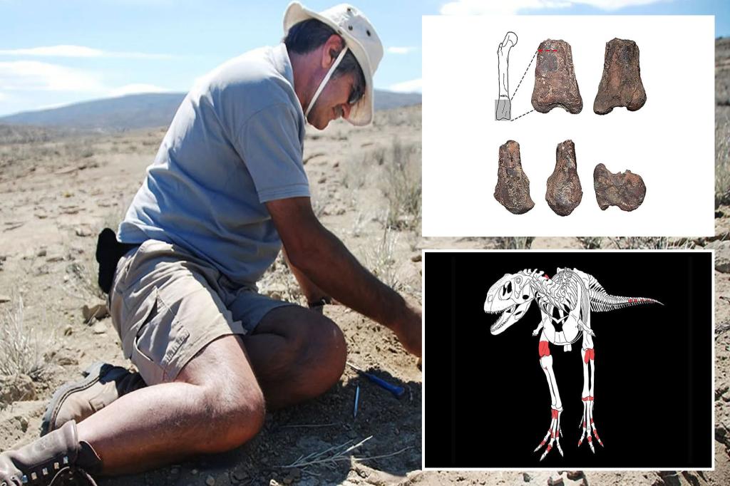 Especie de dinosaurio Elemgasem nubilus de 90 millones de años descubierta en Argentina