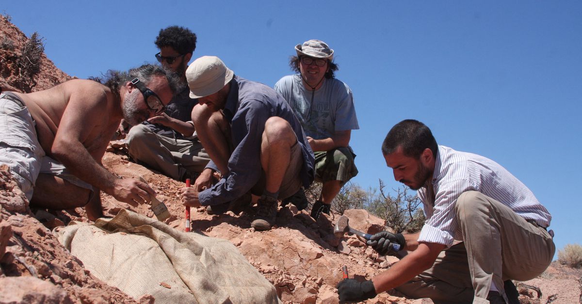 Hallan restos de pequeño dinosaurio acorazado en Argentina