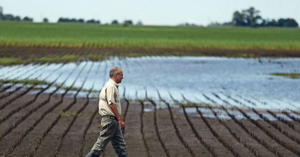 Sequía en Argentina tendrá gran impacto en producción agropecuaria — MercoPress